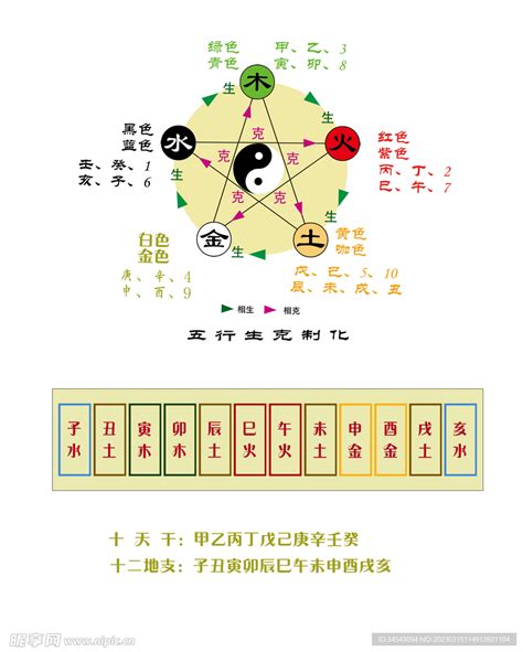 12地支五行|天干地支五行对照表图 阴阳五行